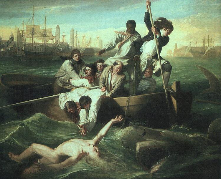 John Singleton Copley Watson and the Shark Sweden oil painting art